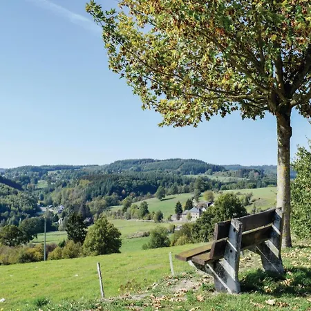 Holiday home Holiday With Mountain View 211 Lierneux